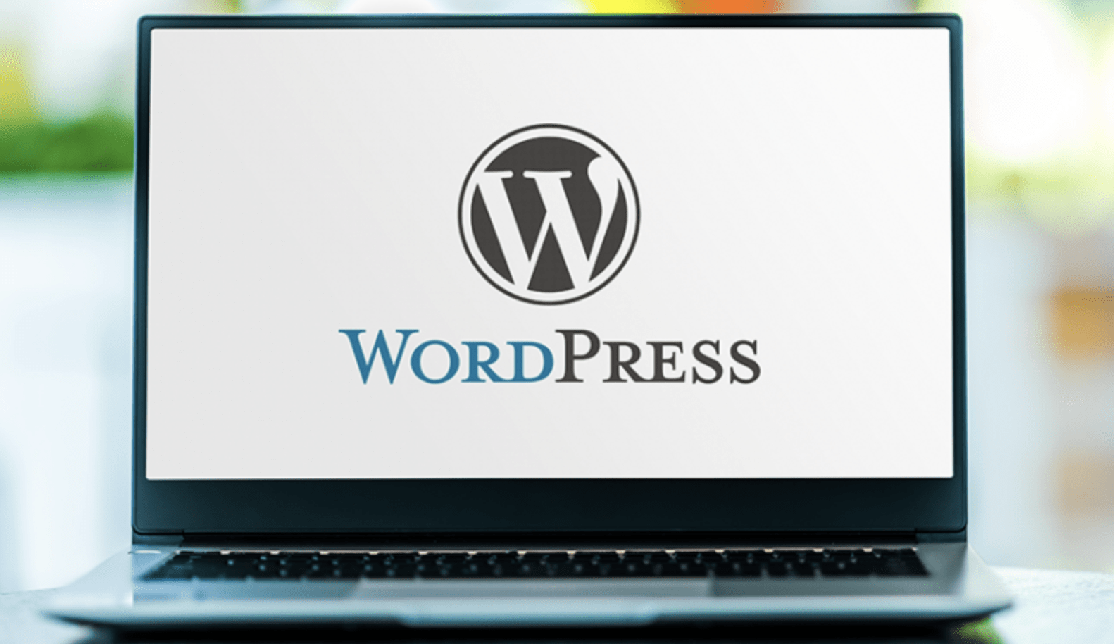Why WordPress Is the Perfect CMS for Growing Businesses